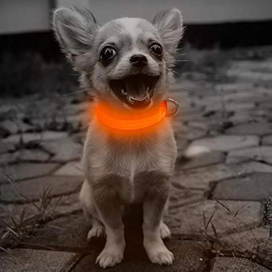 Candofly Reflective LED Dog Collar